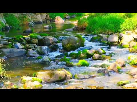 River serenity. Finding peace in nature's flow. Rivers sounds for relaxation.