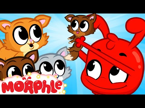 Morphle's Kittens - My Magic Pet Morphle | Cartoons for Kids | Morphle TV