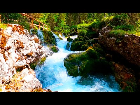 4K RELAXING PIANO MUSIC OF FOREST STREAM WITH GENTLE  BIRDSONG,NATURE SOUNDS FOR DEEP SLEEP