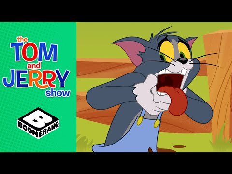 A Wild Pig Chase | Tom &amp; Jerry Show | Boomerang UK