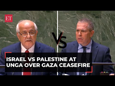 Israel vs Palestine at UNGA: 'UN resolution is to secure Hamas&rsquo; continued rule in Gaza...'