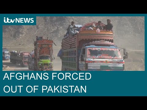 Thousands of Afghan refugees forced out of Pakistan in immigration crackdown| ITV News