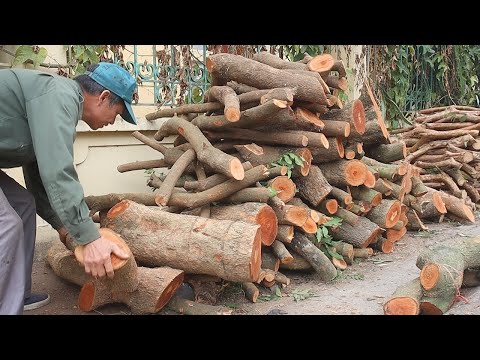 Great Creative Woodworking Idea From rustic solid wood // Build A Super Cool Table From Dry Branches