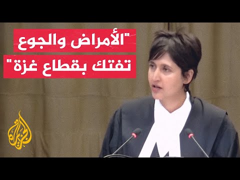 الفريق القانوني لجنوب إفريقيا: مئات من العائلات في غزة مسحت بالكامل ولم يبق منها أي فرد