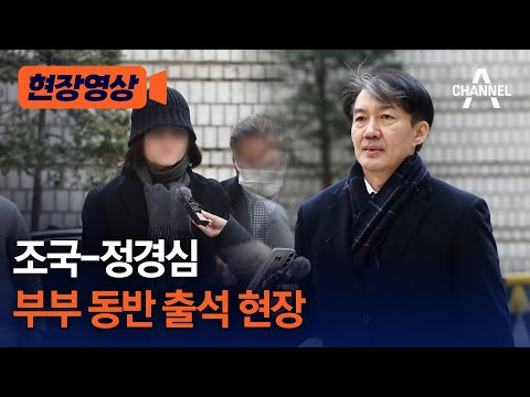 [현장영상] 조국-정경심 부부 동반 출석 현장 /채널A