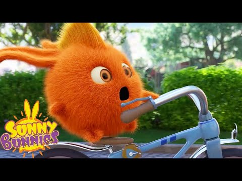 Rocky Bike Ride | Sunny Bunnies | Cartoons for Kids | WildBrain Zoo