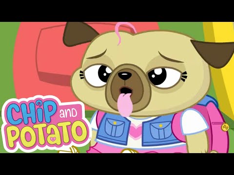 Chip and Potato | School Tour Day | Cartoons For Kids