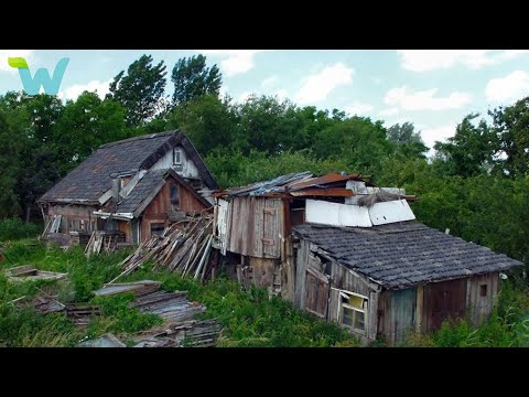 Having no money to buy a house in the city, a single father renovated an abandoned house