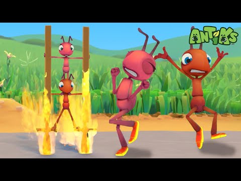 Hotshots🔥| Funny Cartoons For All The Family! | Funny Videos for kids | ANTIKS