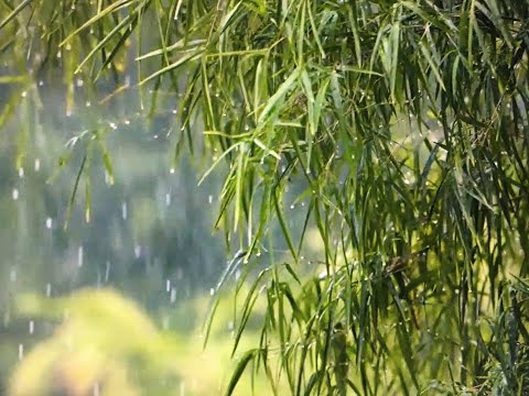 Som de chuva + m&uacute;sica  para relaxar