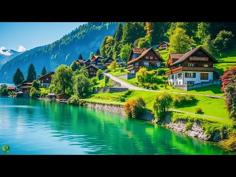 Beautiful Relaxing Music - Stop Overthinking, Stress Relief Music, Sleep Music, Calming Music #49