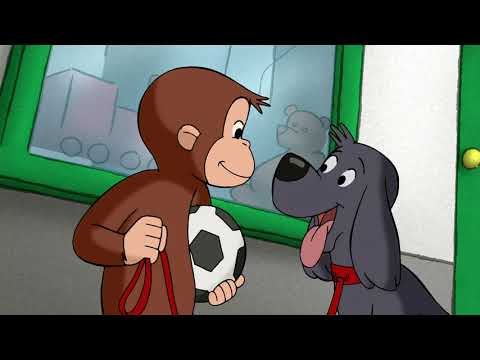 Zoo Night - Curious George | WildBrain