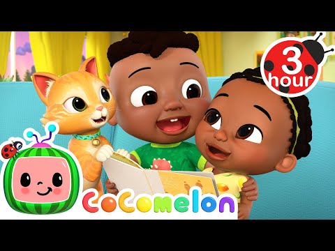 The Cody Song + More | CoComelon - It's Cody Time | CoComelon Songs for Kids &amp; Nursery Rhymes