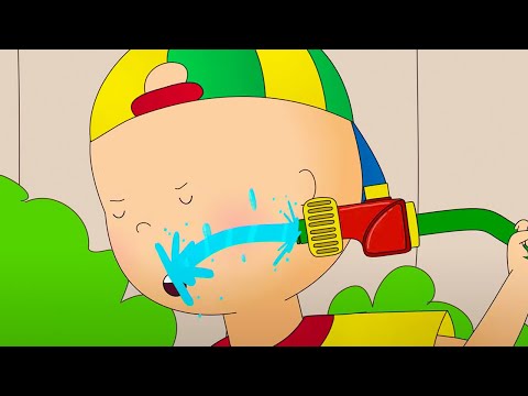 Caillou VS Water | Caillou Cartoon