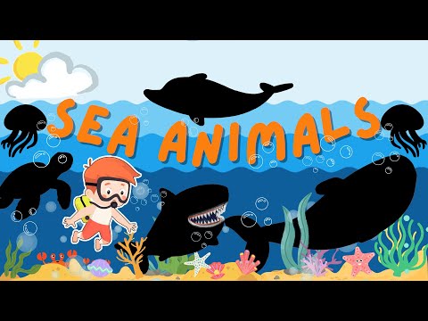 Sea Animal Names and Videos for Kids | Guess The Ocean Animals from Shadows| Learn with Ruby Unicorn