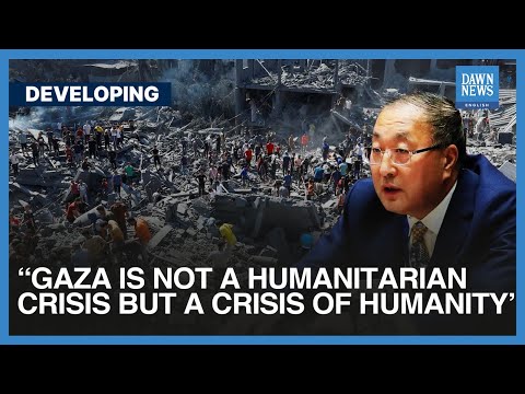 Enough Is Enough, Says Chinese Envoy To UN At UNSC | Israel Gaza | Dawn News English