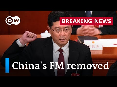 What's behind China's removal of Foreign Minister Qin Gang from office? | DW News