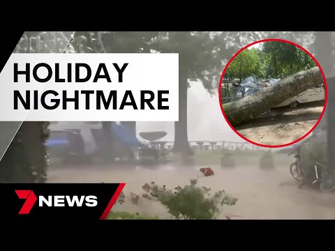 Four campers crushed by a falling tree as summer storms rip through Victoria | 7 News Australia