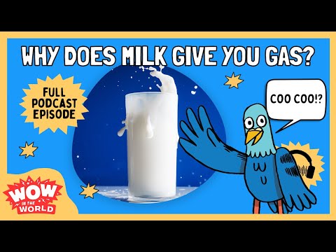 Why Does Milk Give Us Gas?  | Wow in the World | Kids Podcast Episode | Science for Kids