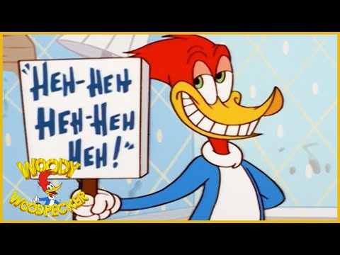 Woody Woodpecker Show | Pinheads | 1 Hour Compilation | Videos For Kids