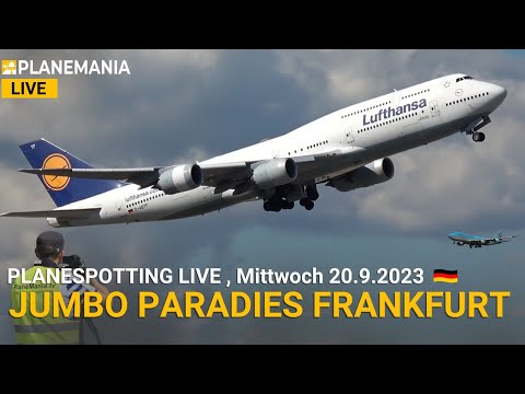 ✈️ PlaneMania Planespotting LIVE Frankfurt: Nonstop Heavies (747, A340, A350, B787, B777)