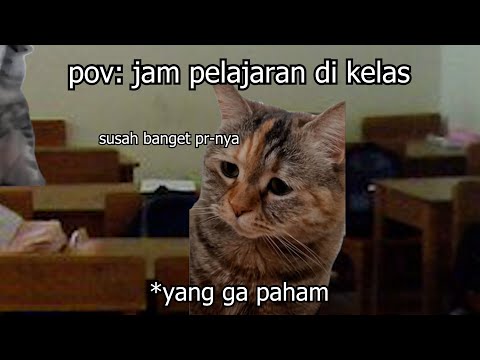 pov : jam pelajaran sekolah | meme kucing 🤣 2