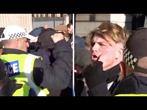 'Who hit me': Moment protestors clash with police in Parliament Square on Armistice Day