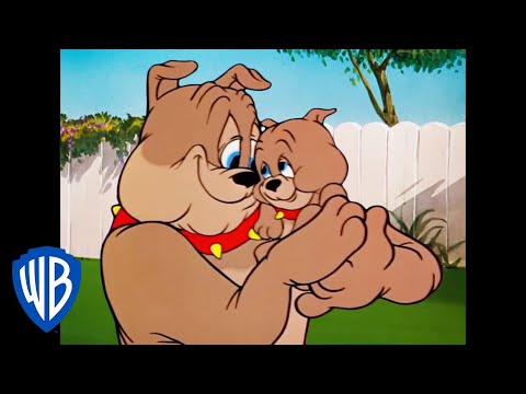 Tom y Jerry en Latino | Spike, el Padre del A&ntilde;o | WB Kids