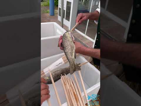 Steckerlfisch Forellen genial einfach