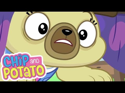 Where Is Spuds Homework? | Chip and Potato | Cartoons for Kids | WildBrain Zoo