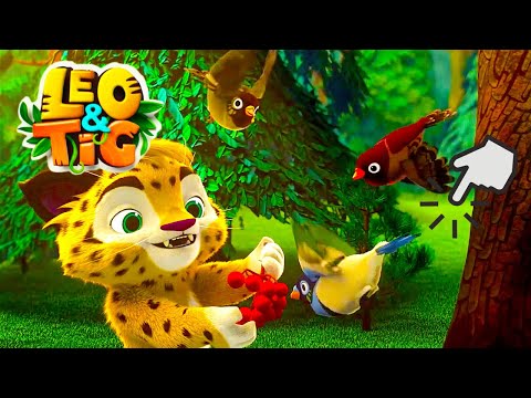 LEO and TIG 🔴 LIVE 🦁 🐯Best episodes 💚 Moolt Kids Toons Happy Bear