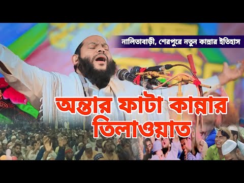 শেরপুরে নতুন কান্নার ইতিহাস বুক ফাটা কান্নার তিলাওয়াত । আহ! একি তিলাওয়াত । Qari Saidul Islam Asad.