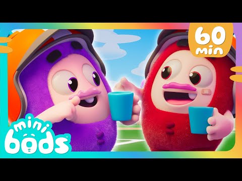 Got Ice-Cream? 🍦| 🌈 Minibods 🌈 | Preschool Cartoons for Toddlers