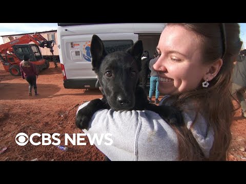 Volunteers work to reduce barriers to pet care in rural America