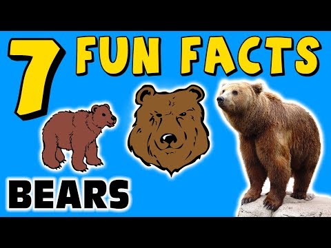 7 FUN FACTS ABOUT BEARS! BEAR FACTS FOR KIDS! Grizzly! Polar! Learning Colors! Funny! Sock Puppet!