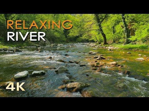 4K Relaxing River - Ultra HD Nature Video -  Water Stream &amp; Birdsong Sounds - Sleep/Study/Meditate