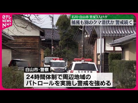 【捕獲作業続く】石川・白山市でクマが倉庫内に立てこもりか