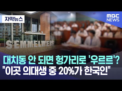 [자막뉴스] 대치동 안 되면 헝가리로 '우르르'? &quot;이곳 의대생 중 20%가 한국인&quot; (2023.06.16/MBC뉴스)