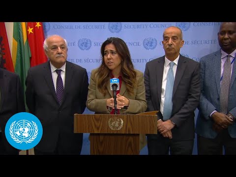 UAE, Palestine, Egypt &amp; Others on UN Security Council Resolution on Palestine | United Nations