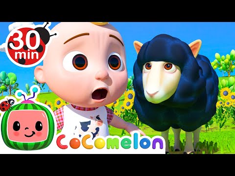 Baa Baa Black Sheep and other classic nursery rhymes | CoComelon Furry Friends | Animals for Kids