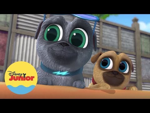 Fiesta en la Piscina con Perritos | A Jugar con Puppy Dog Pals