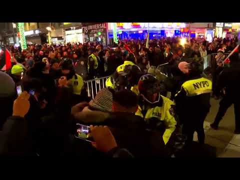 Pro-Palestine protesters near Rockefeller Center tree lighting, NYPD appears to detain individuals